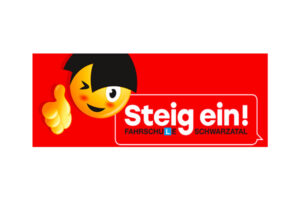 steigein