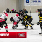 Finale Tulln